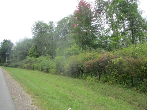 Potsdam Land with Wetland Area