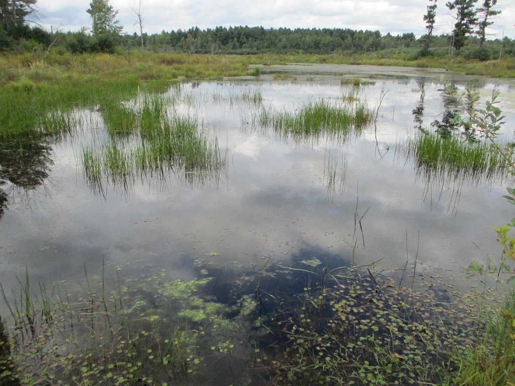 Picture 9