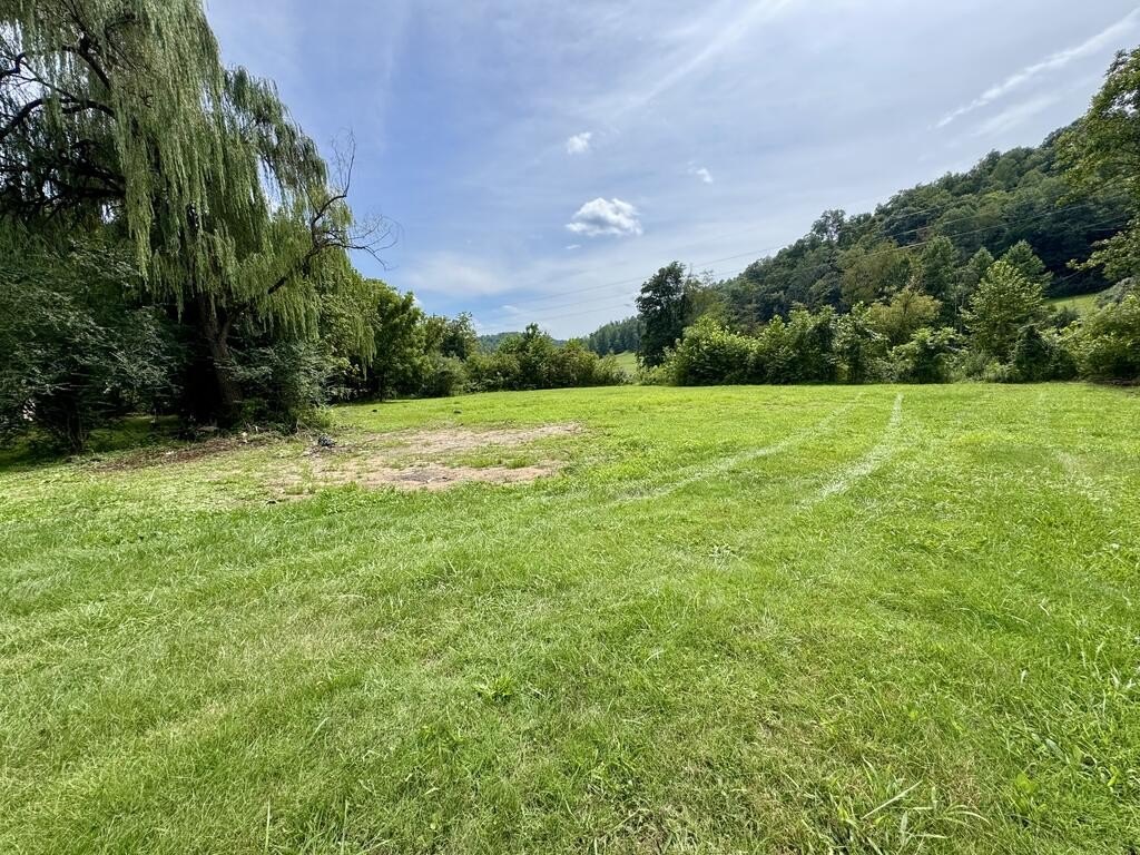 Picture 5