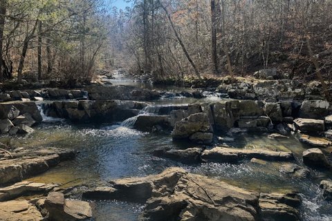 8-Acre Vacant Land Tract