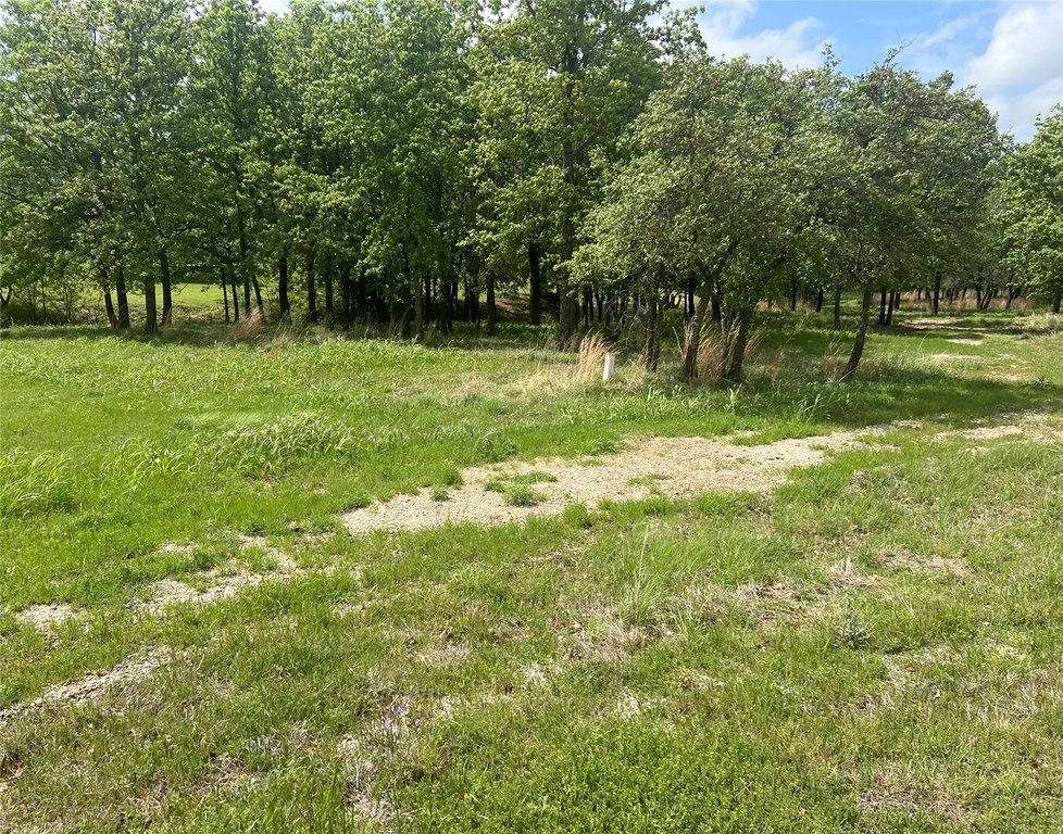 Picture 7