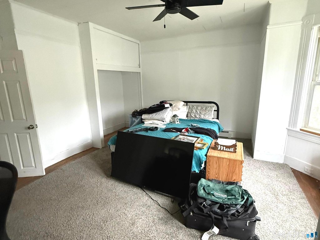 Picture 15