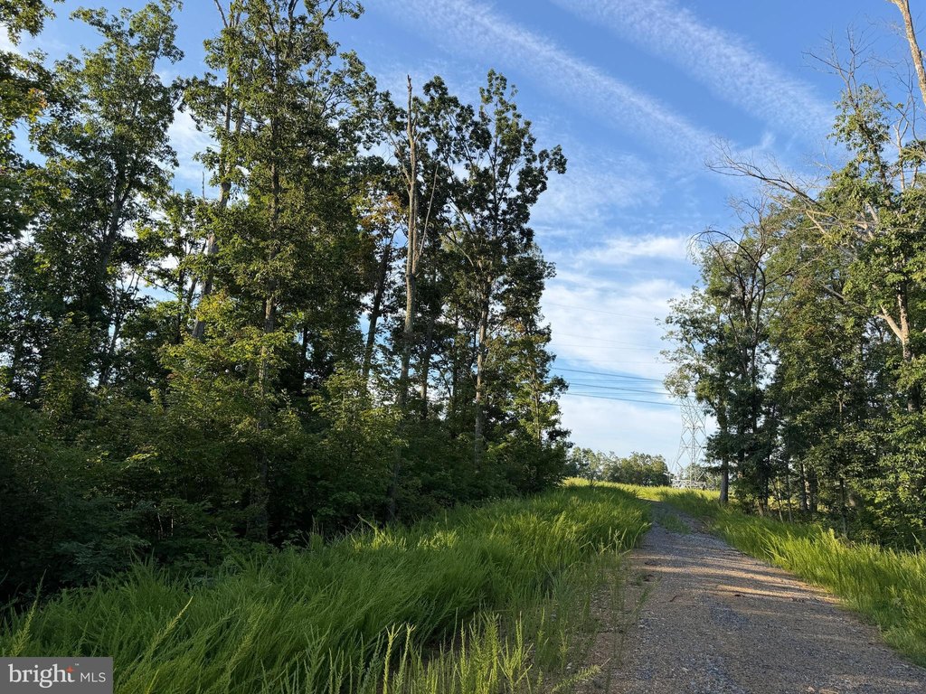 Picture 17