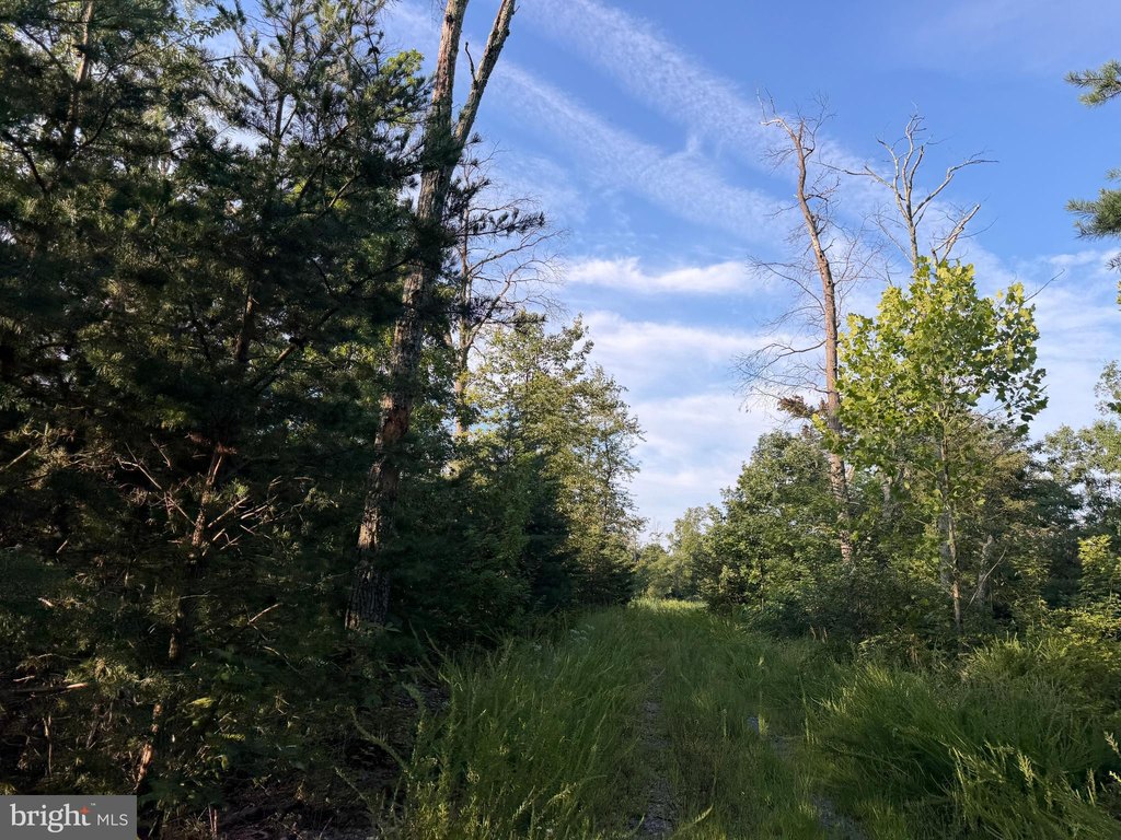 Picture 23