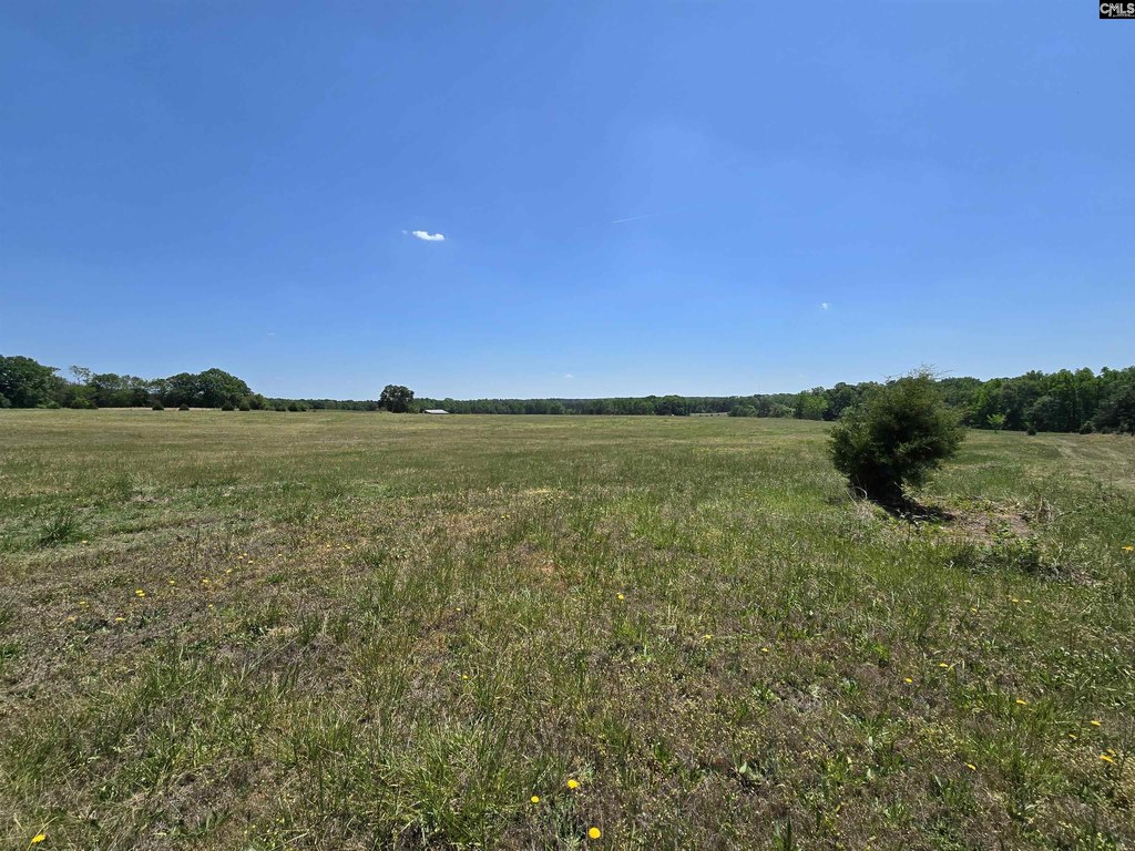 Picture 21