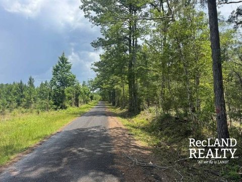 Timberland and Homesite Tract