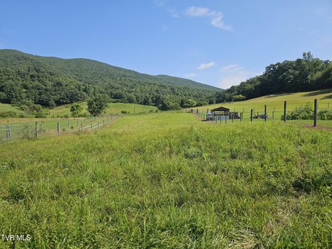 Mini-Farm Opportunity in Hiltons, VA