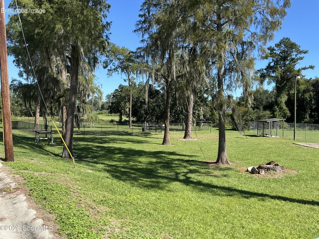 Picture 4