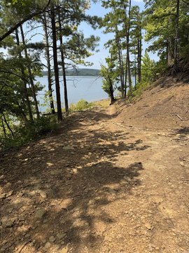 LAND - Bee Branch, AR
