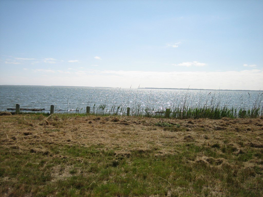 Picture 3