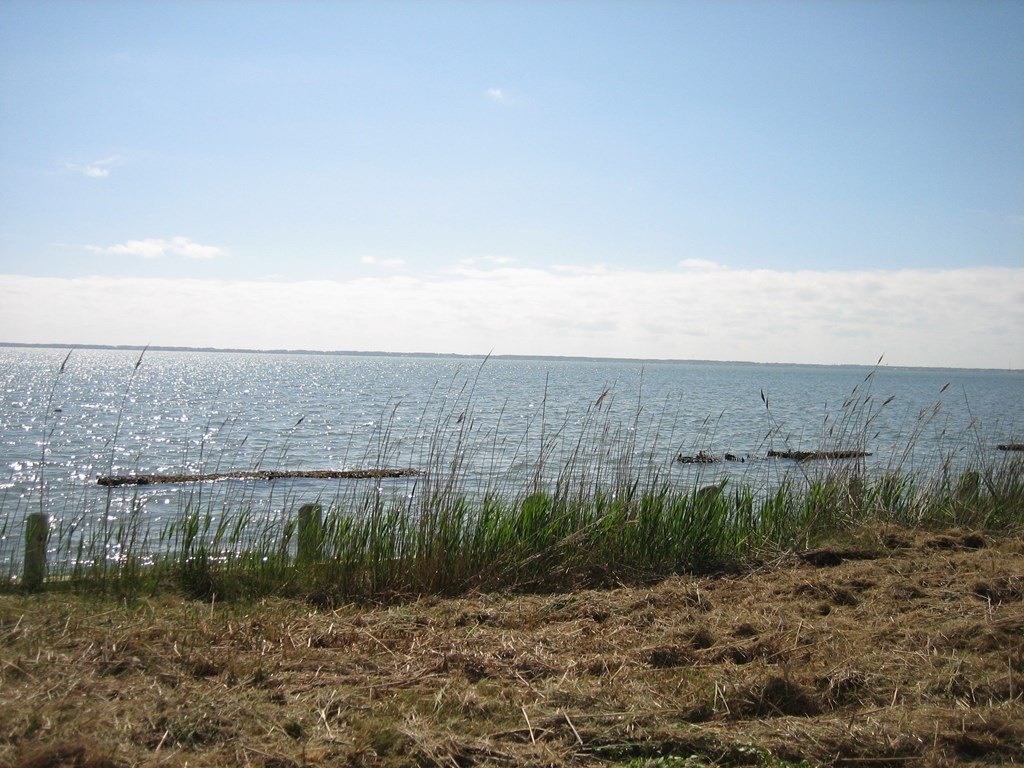 Picture 2