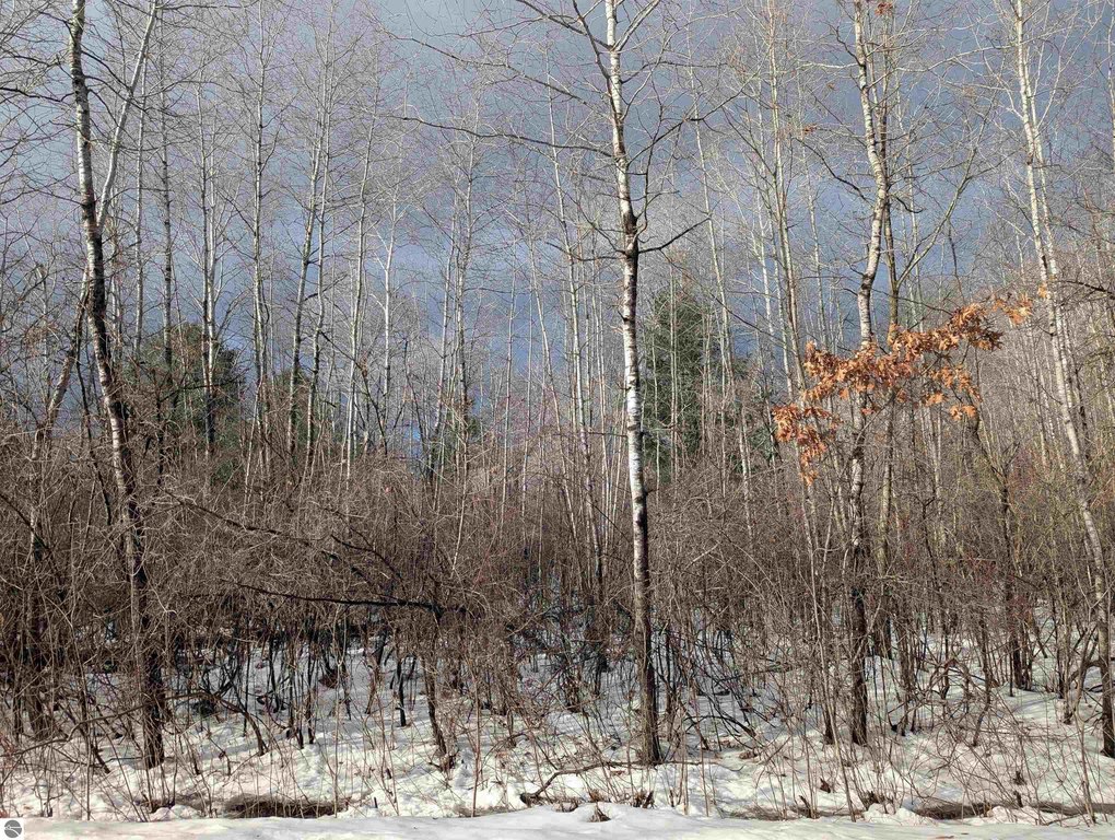 Picture 8