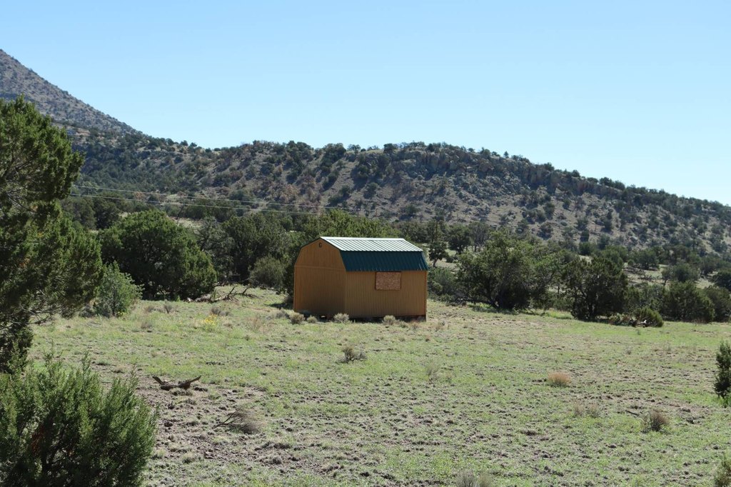 Picture 16