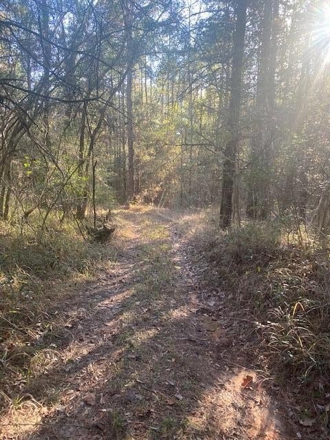 Rose Hill Land for Sale