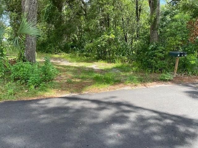 Picture 3
