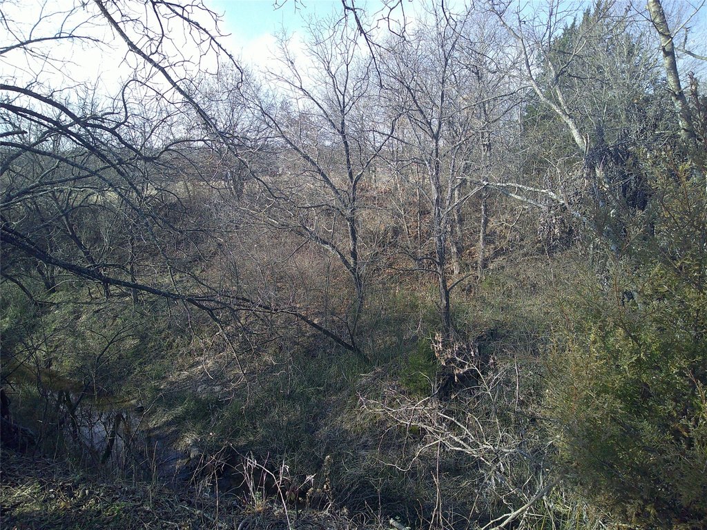Picture 7