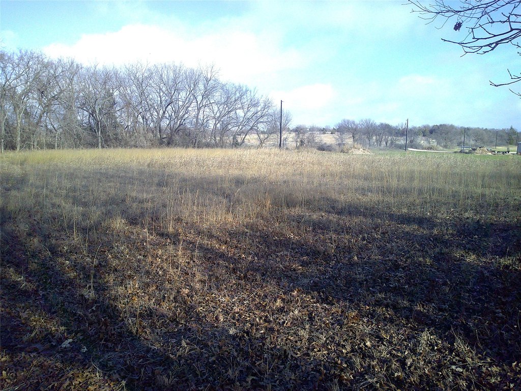 Picture 3