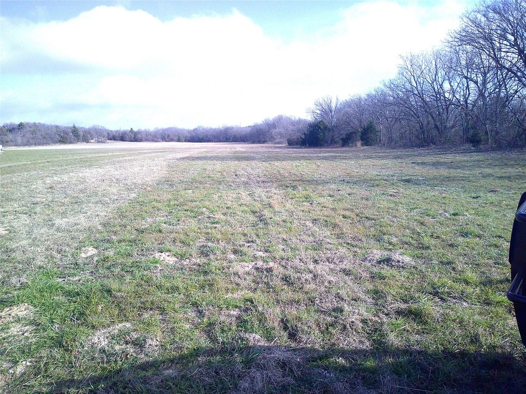 Picture 5