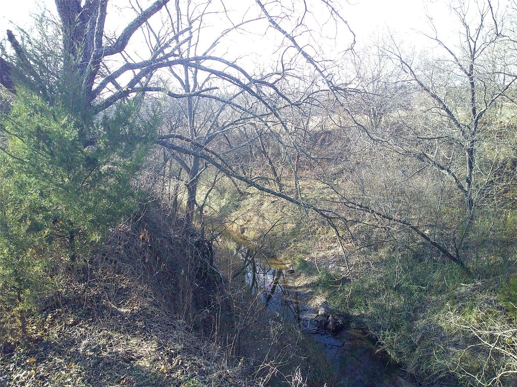 Picture 6