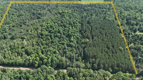 Hunting Land with Barens Creek