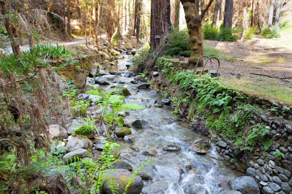 Picture 17