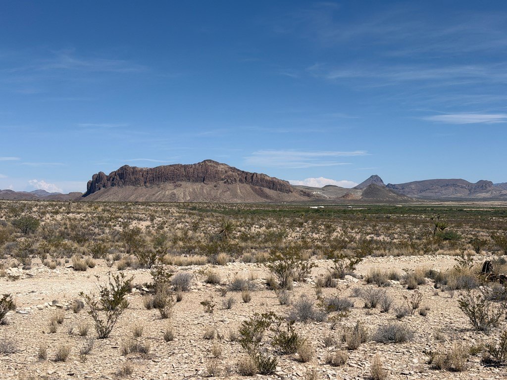 Picture 25