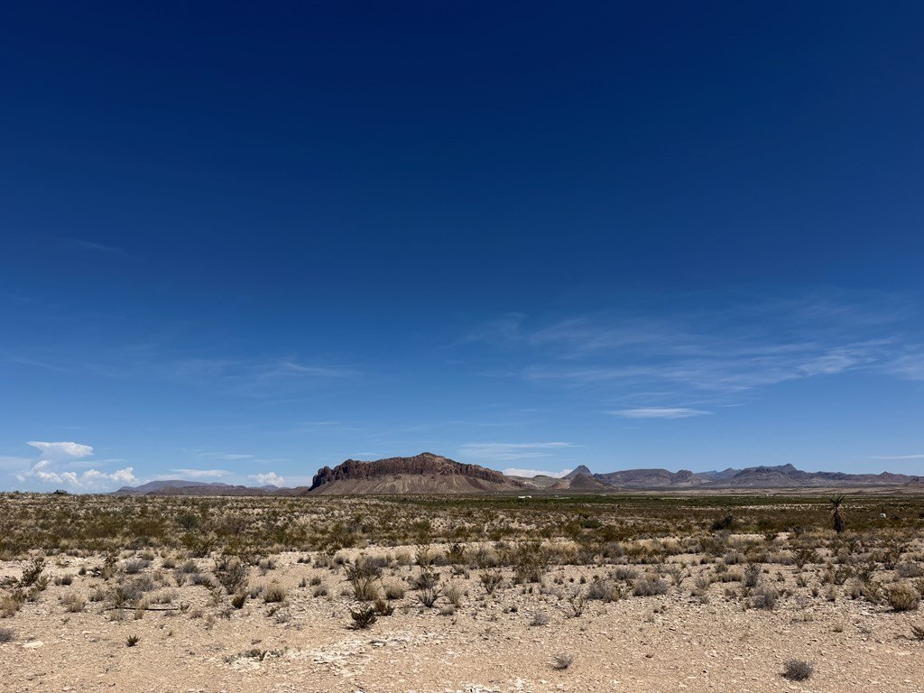 Picture 22