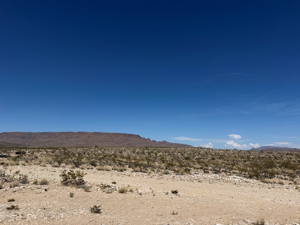 Picture 21
