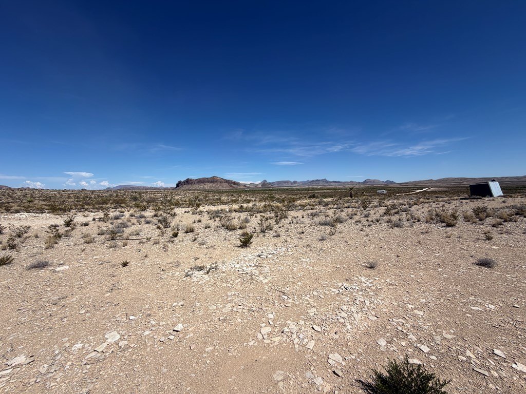 Picture 20