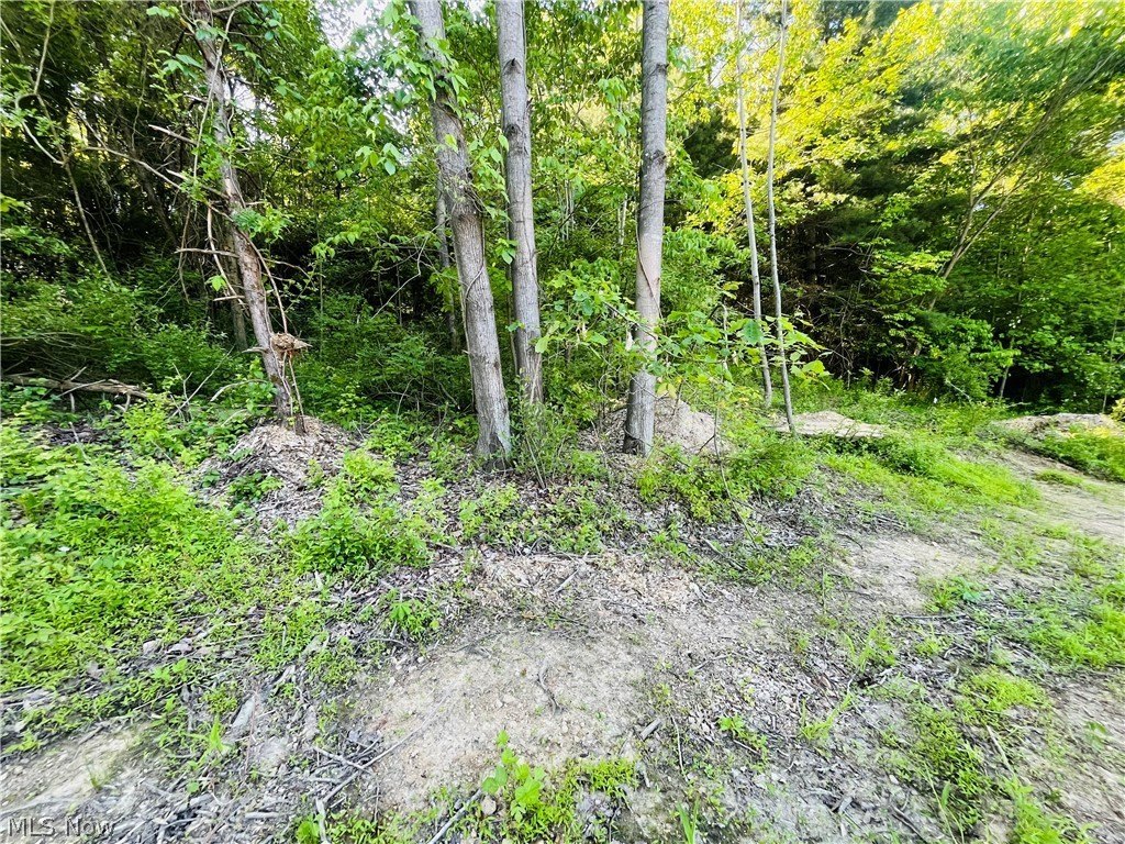 Picture 12
