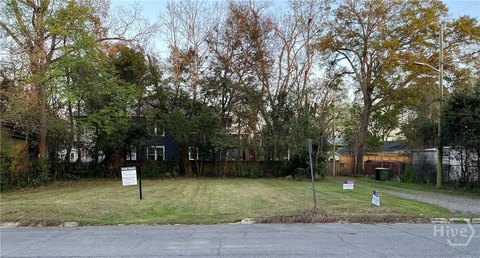 Savannah Buildable Lot Near Downtown