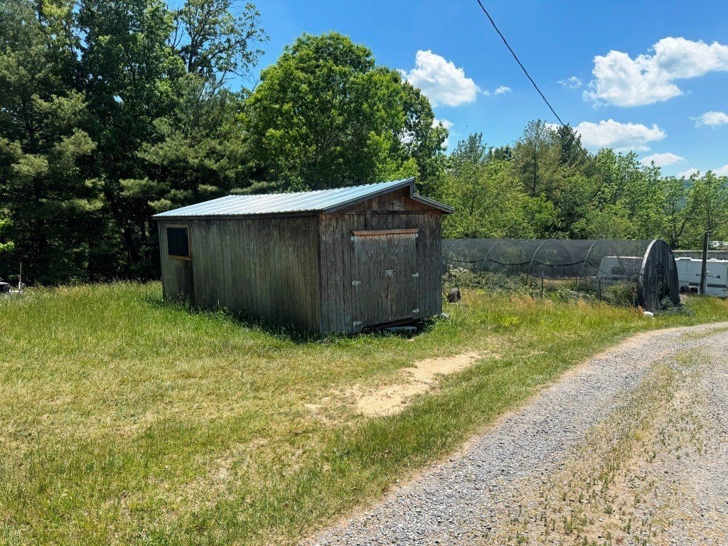 Picture 24