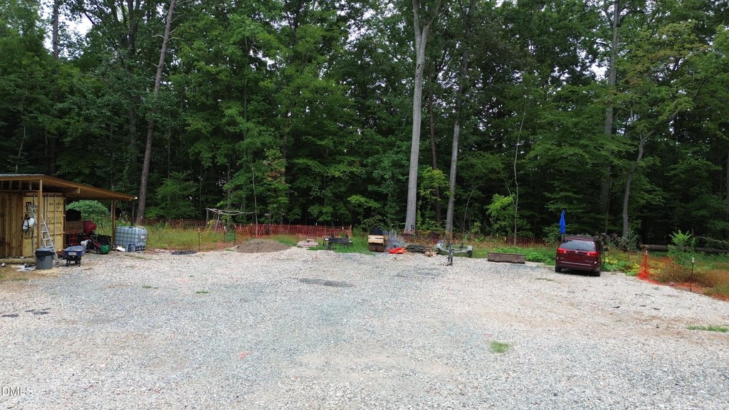 Picture 10
