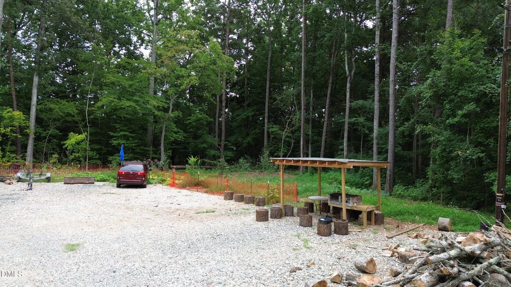 Picture 11