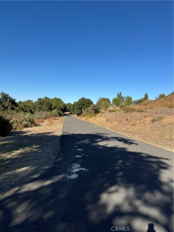 Picture 48