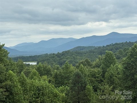 LAND - Nebo, NC