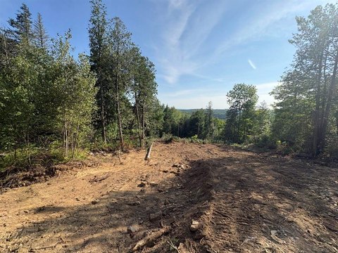 Surveyed Residential Homesite Lot