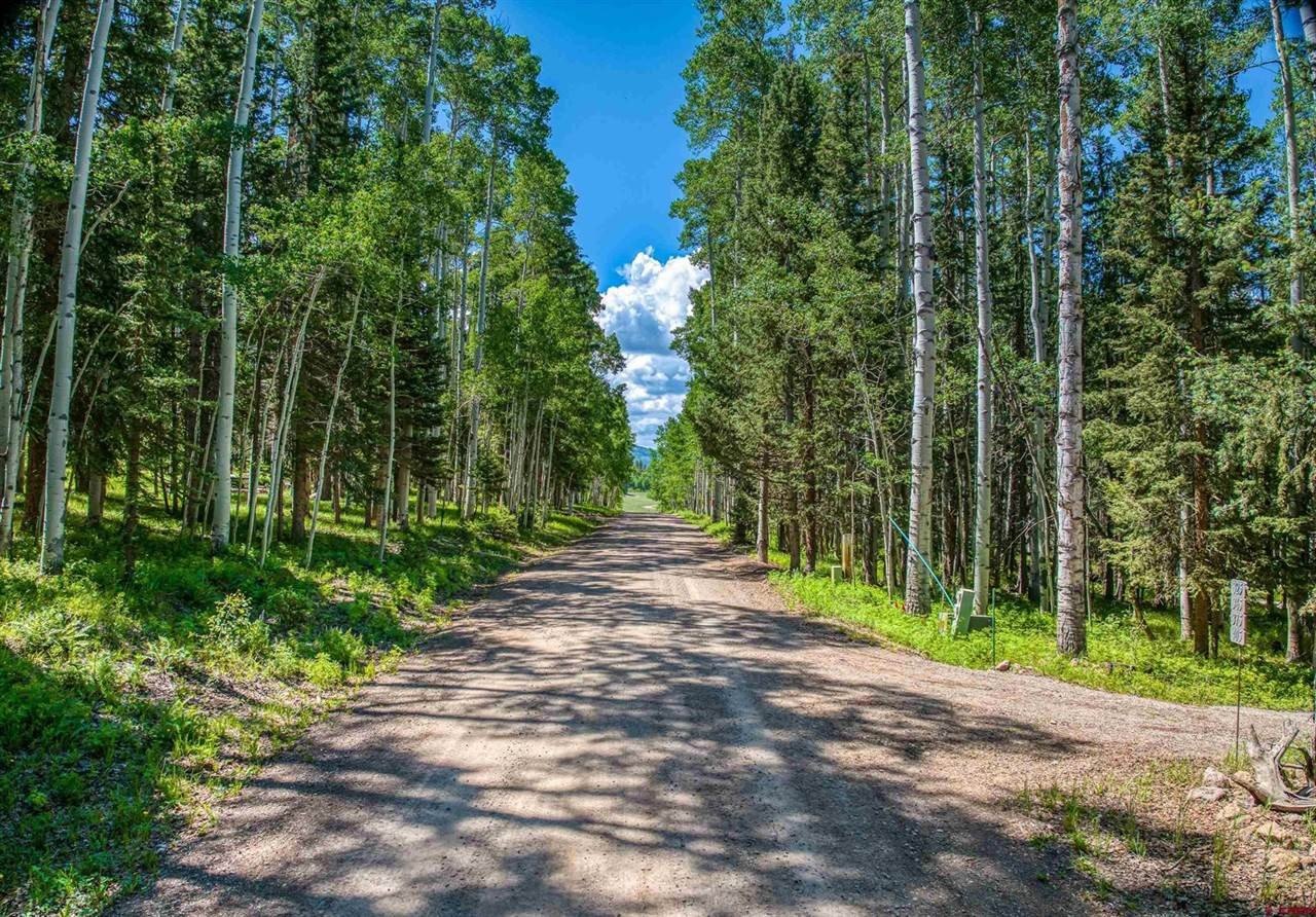 Cimarron, CO Developed Lot