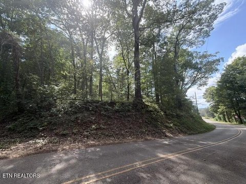 Lots & Acreage, Athens, TN