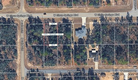 Citrus Springs Buildable Vacant Land