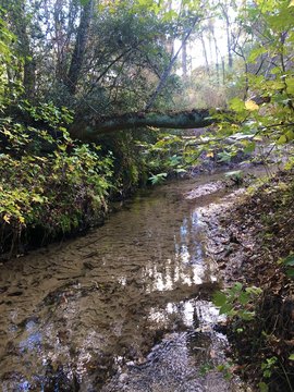 LAND - Hollywood, SC