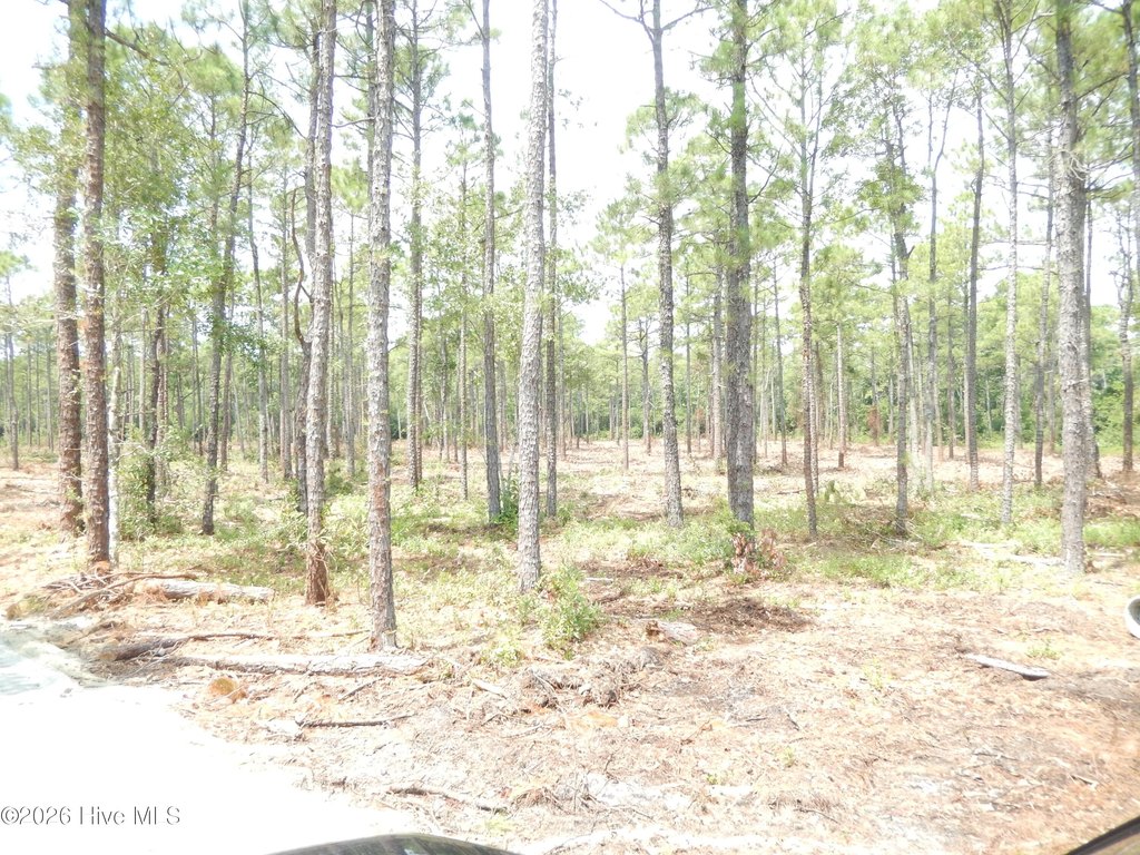 Picture 14