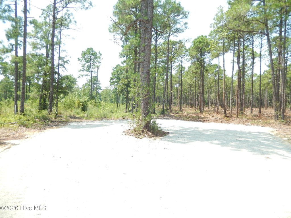 Picture 10