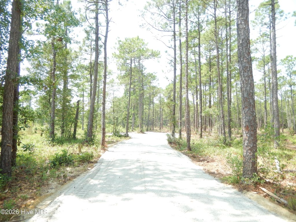 Picture 9