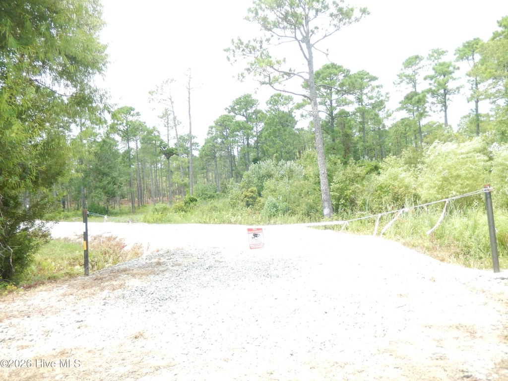 Picture 8