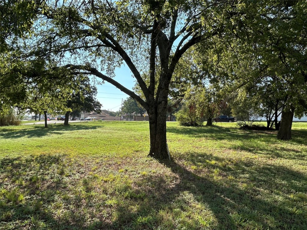 Picture 12