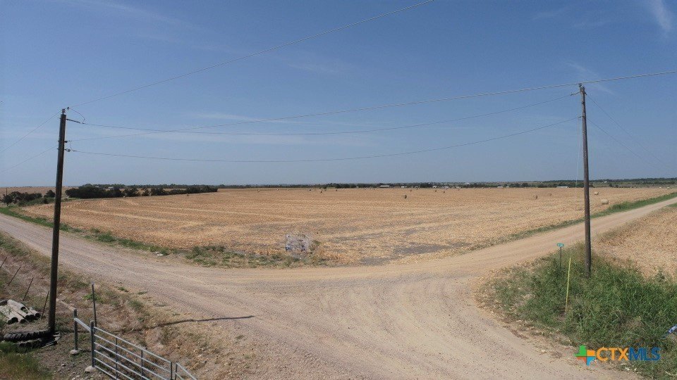 Picture 8
