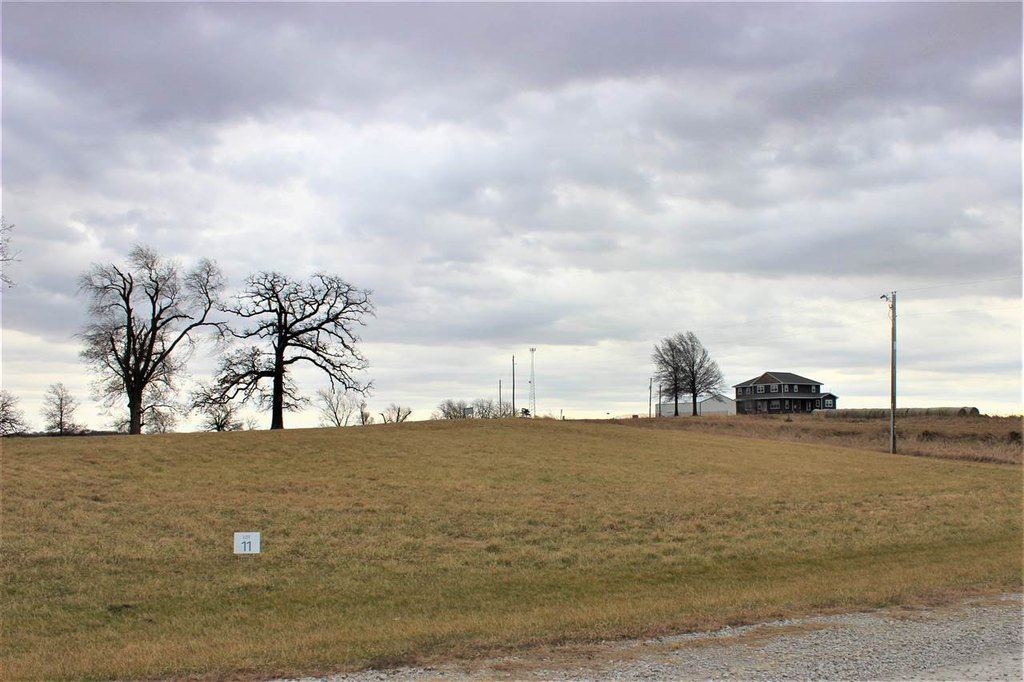 Picture 8