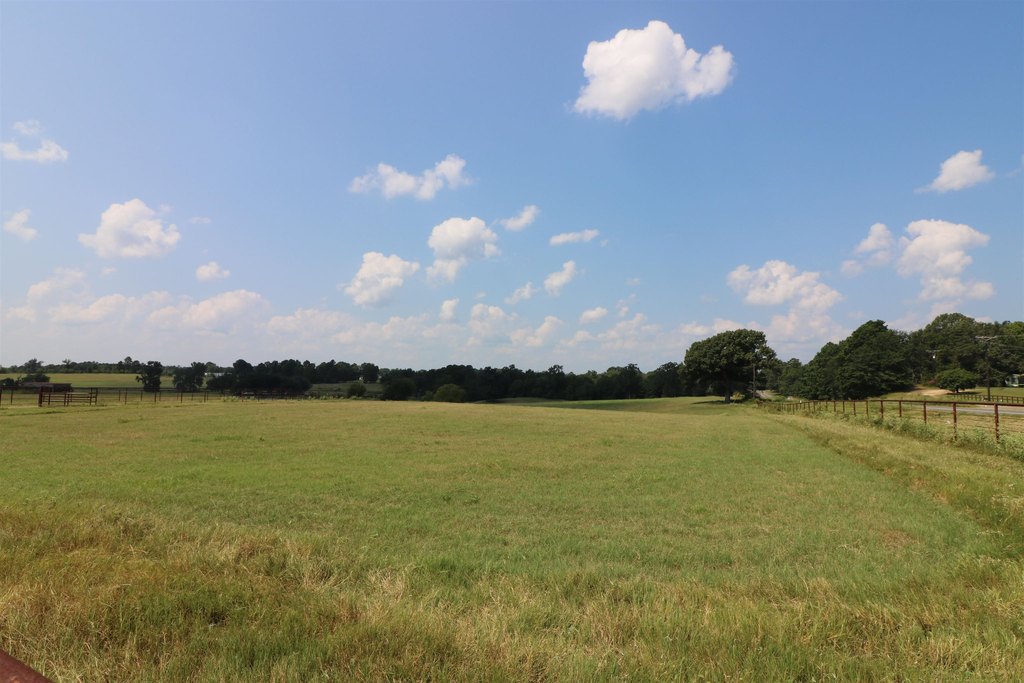Picture 19