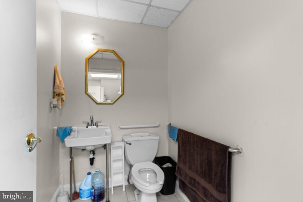 Picture 15